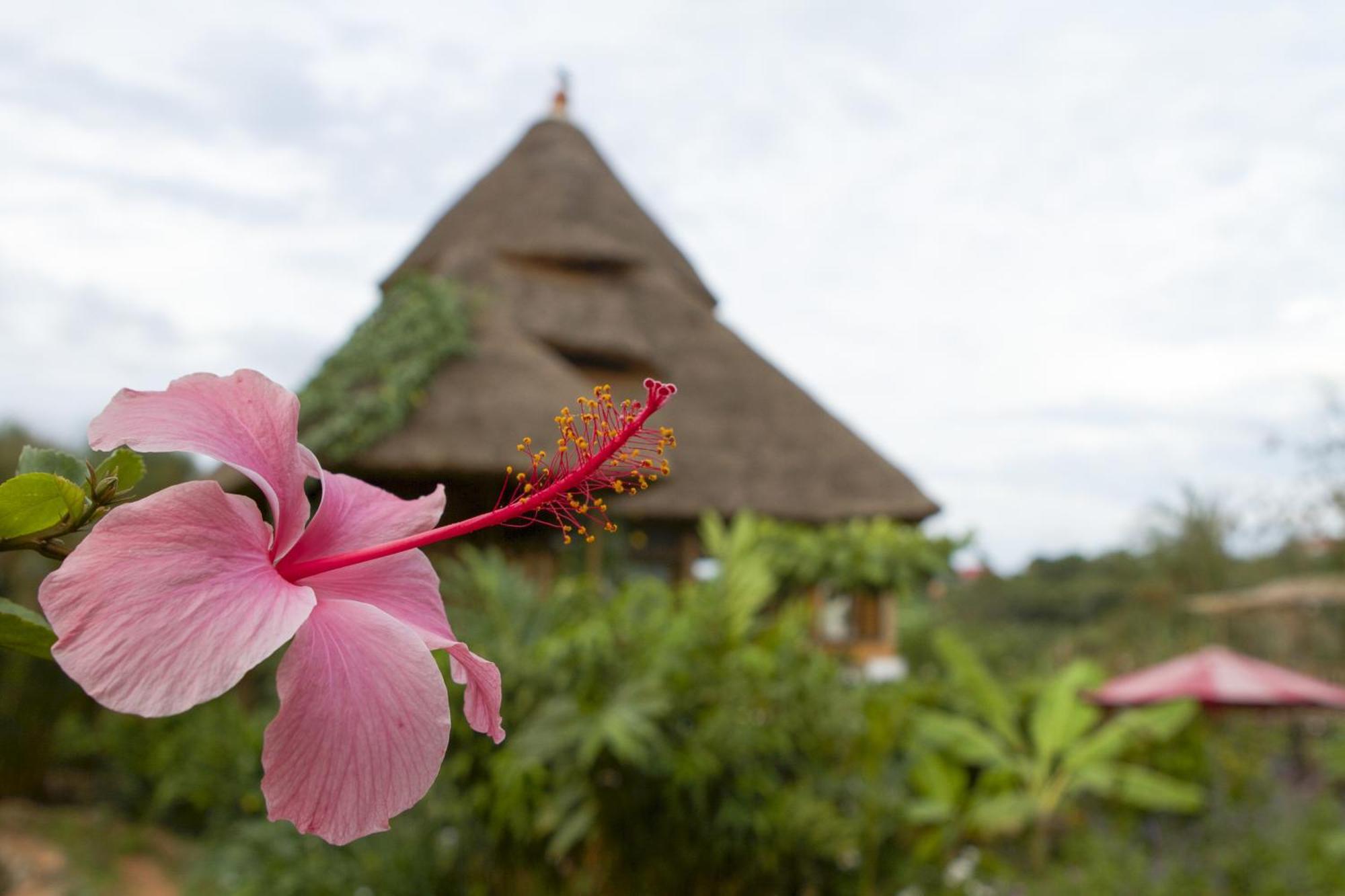 Malakai Eco Lodge Kitende Ngoại thất bức ảnh